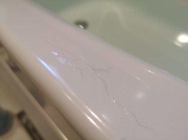 浴槽に白い糸のようなものが浮いている　大阪市西成区